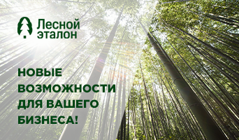 "Лесной эталон": госзакупки, тендеры и DIY!